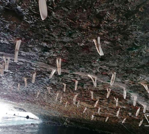 Impresa Silvio Pierobon - Realizzazioni - Consolidamento e dragaggio arcate ponte della Libertà | Venezia